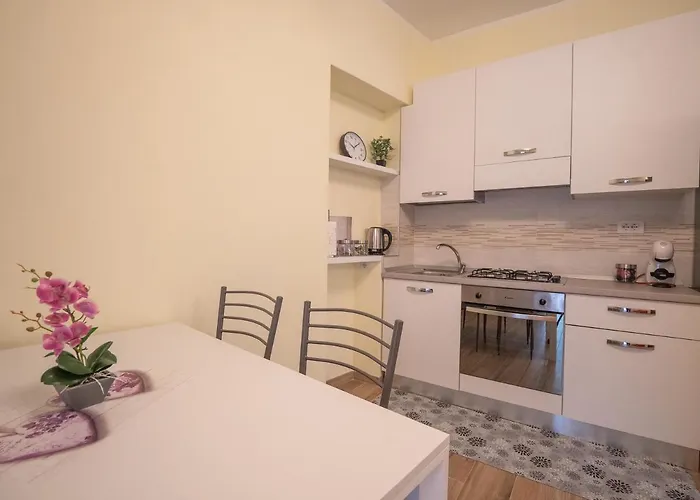 Camelia House Apartament